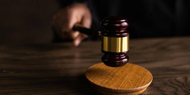 Sanciones penales y civiles para guarderías que incumplen el cuidado de mascotas en Colombia