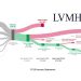 El ocaso del lujo: La gran transformación de LVMH en 2025