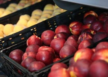 El salto de Aldi: Más producto Español y sostenibilidad para 2026