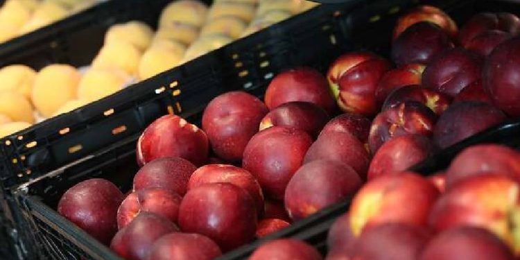 El salto de Aldi: Más producto Español y sostenibilidad para 2026