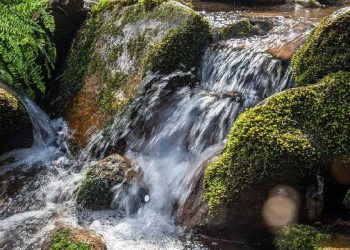consumo de agua