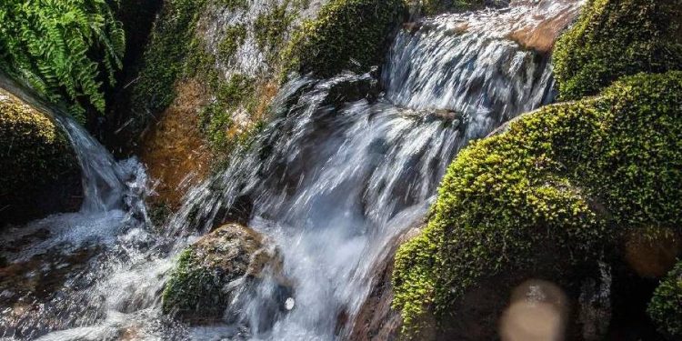 consumo de agua