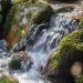 consumo de agua