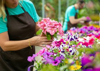 Ventas de flores