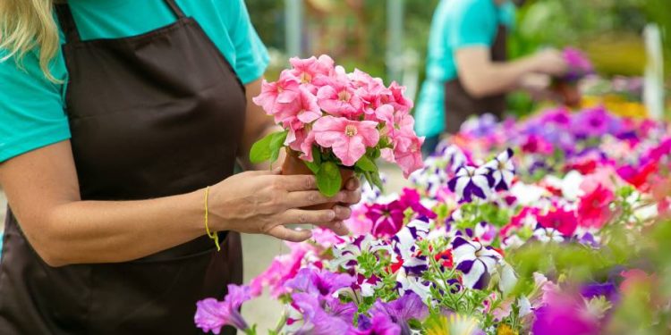 Ventas de flores