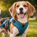 Collar o pechera: Lo que los expertos aprendieron sobre seguridad y bienestar animal