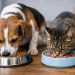 Impulsan eximir impuesto ventas alimentos y productos para mascotas