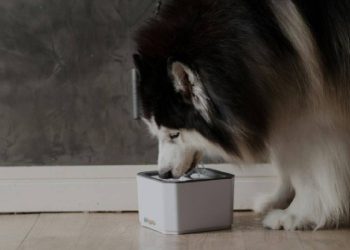 Cuando la tradición alimentaria apuesta por mascotas y abre una nueva oportunidad de negocio