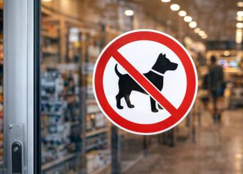 Acceso de perros a comercios: derechos, restricciones y desafíos sociales