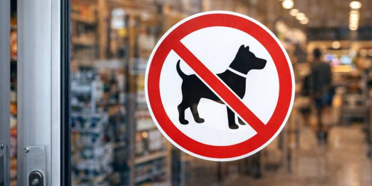 Acceso de perros a comercios: derechos, restricciones y desafíos sociales