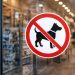 Acceso de perros a comercios: derechos, restricciones y desafíos sociales