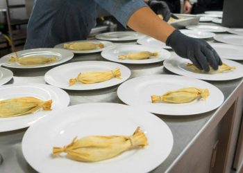 Colitas y Confeti: Tamales exclusivos para perros nueva gastronomía para mascotas