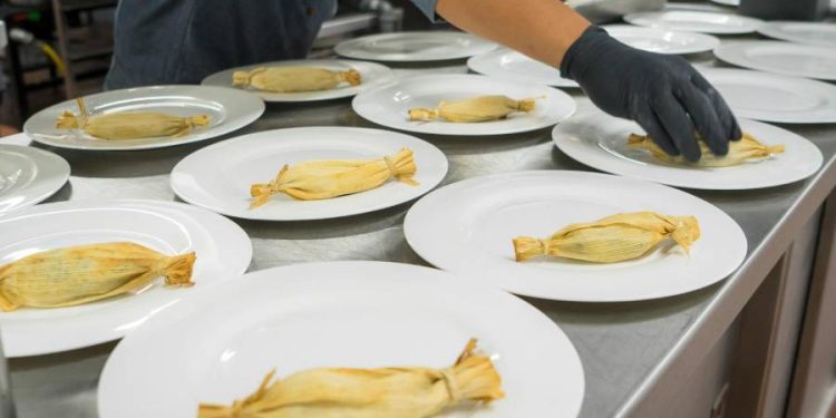 Colitas y Confeti: Tamales exclusivos para perros nueva gastronomía para mascotas