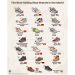 Zapatos y millones: Las marcas que dominan el mundo en 2025