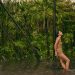 Natura lidera la belleza sustentable en América Latina