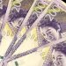 nuevo billete