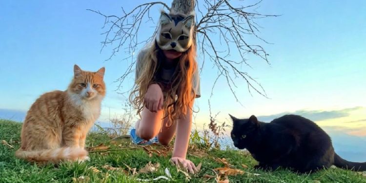 El Refugio del Instinto: ¿Por qué los Jóvenes Eligen ser Animales?
