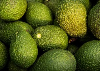 Agro digital abre inversión