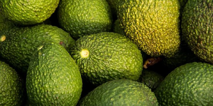 Agro digital abre inversión
