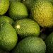 Agro digital abre inversión