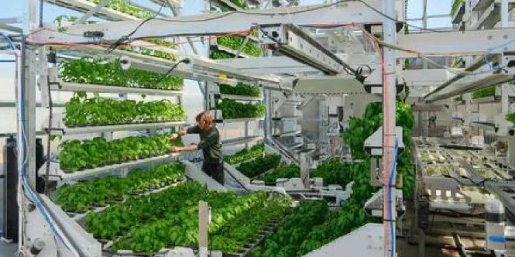 El renacer vertical: Realismo frente a la burbuja agrícola