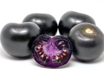 El tomate del futuro: Salud y biotecnología en el plato