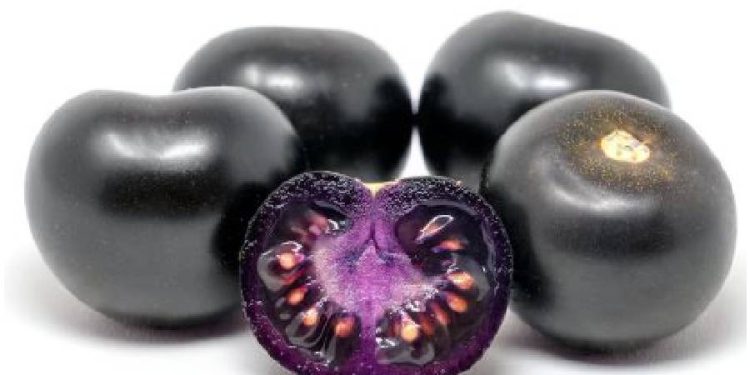 El tomate del futuro: Salud y biotecnología en el plato