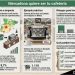 Mercadona y la guerra por el tiempo del consumidor