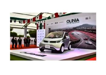 Olinia