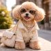 La alta costura del pet-friendly y la transformación cultural en el sector de las mascotas