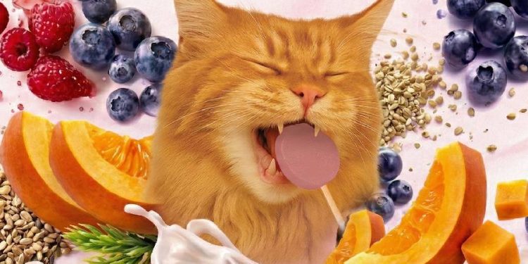 Anasac Pets y su rol en el crecimiento del mercado de mascotas en Chile
