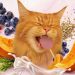 Anasac Pets y su rol en el crecimiento del mercado de mascotas en Chile
