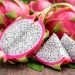 Una fruta exótica que emerge como nueva oportunidad productiva