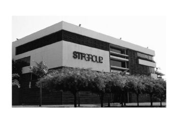 STF Group