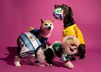 Adidas: Camisetas para mascotas de la Copa Mundial 2026