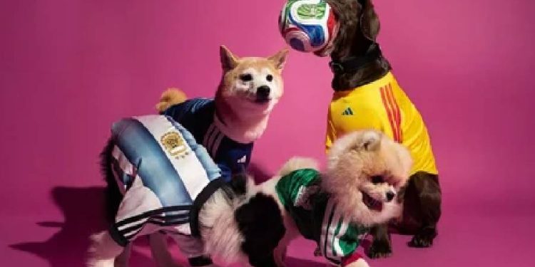 Adidas: Camisetas para mascotas de la Copa Mundial 2026