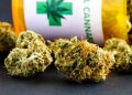 Bullrich reabre debate regional tras cuestionar la legalización del cannabis en Uruguay
