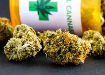 Bullrich reabre debate regional tras cuestionar la legalización del cannabis en Uruguay