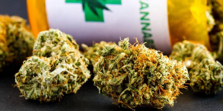 Bullrich reabre debate regional tras cuestionar la legalización del cannabis en Uruguay