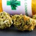 Bullrich reabre debate regional tras cuestionar la legalización del cannabis en Uruguay