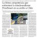El desafío de la fidelidad: PriceSmart ante el muro chileno
