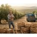 Exportaciones de España a EE. UU.: El sector agro cae un 30%