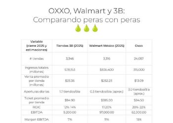 Gigantes del retail en México: Más allá de la escala