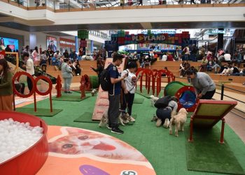 Amor y mascotas transforman Plaza Imperial