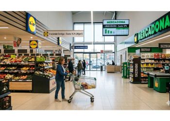Lidl y Aldi desafían a Mercadona: El giro del retail en 2026