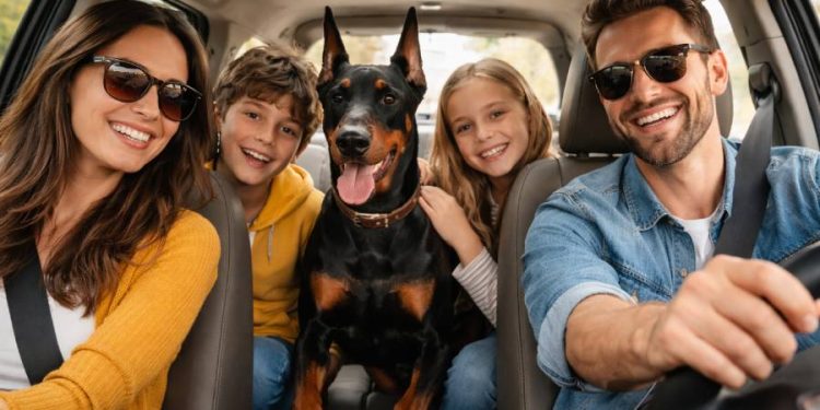 Viajar con mascotas ya es tendencia: Turismo pet-friendly cambia al hospedaje
