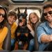 Viajar con mascotas ya es tendencia: Turismo pet-friendly cambia al hospedaje
