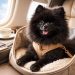 Etihad reduce costos para mascotas y apuesta por viajeros pet friendly