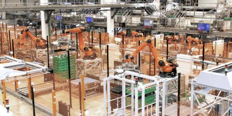 Somos Hijolusa alcanza 260 millones: Éxito en el sector agrario