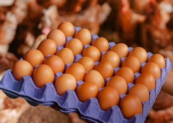 Huevos sin jaulas, el reto pendiente del retail colombiano
